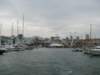 genoa12_small.jpg